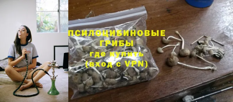 Псилоцибиновые грибы Psilocybine cubensis  купить  сайты  kraken маркетплейс  Ковров 